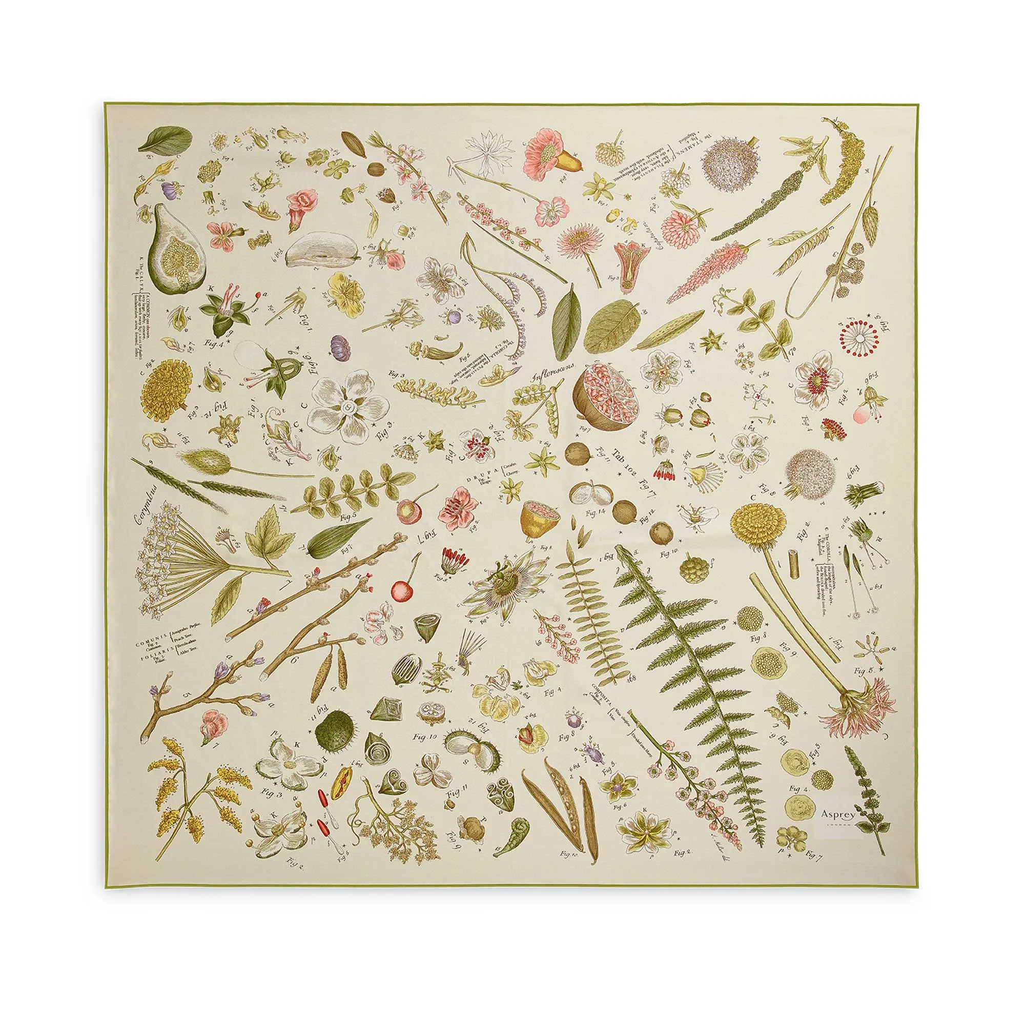 Botanical Silk Scarf